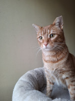 /album/26-02-20261/whatsapp-image-2026-02-26-at-17-59-54-1-jpeg/